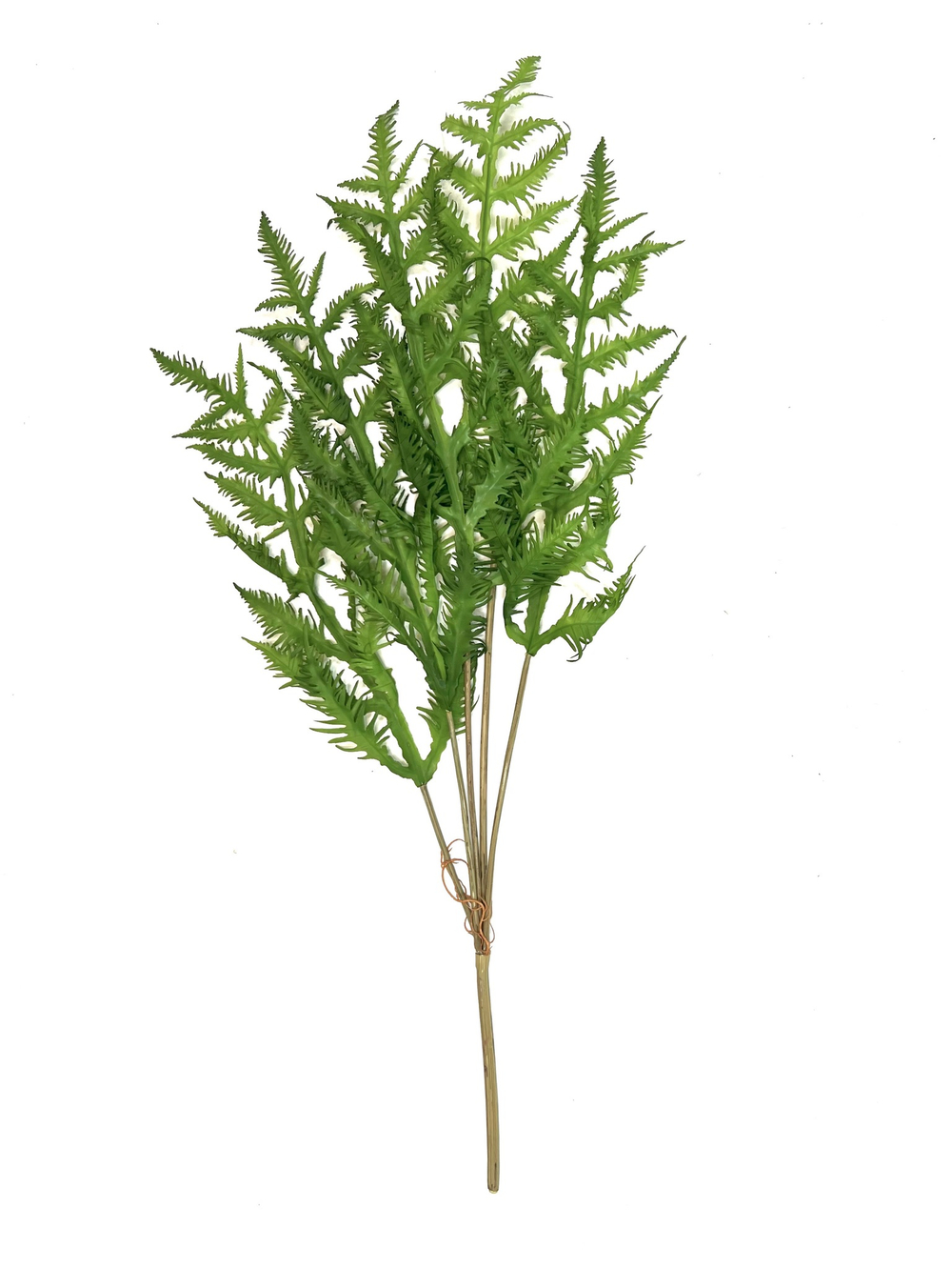 Папоротник оноклея куст 100 см