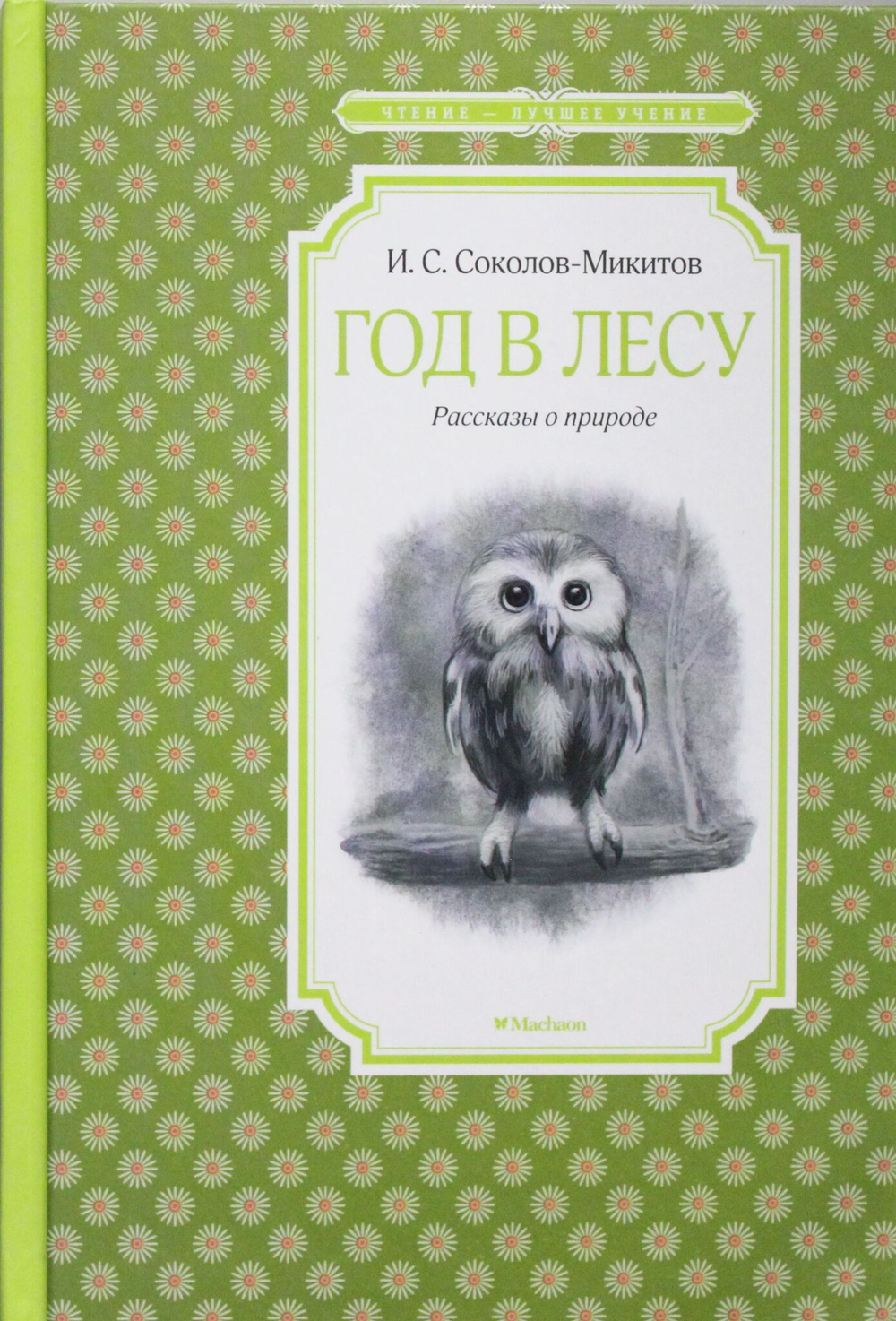 Год в лесу