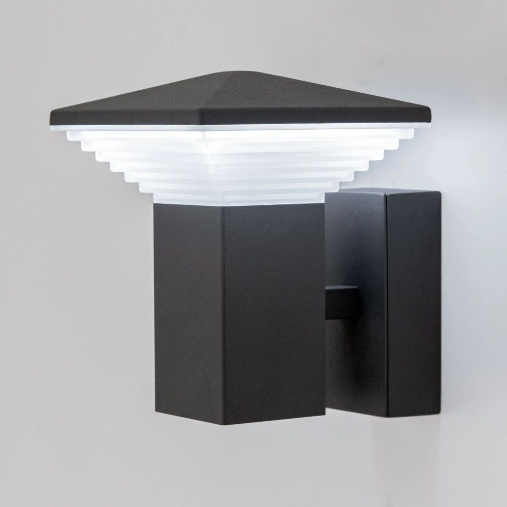 Citilux GARDA CLU02W LED Уличный настенный светильник Графит