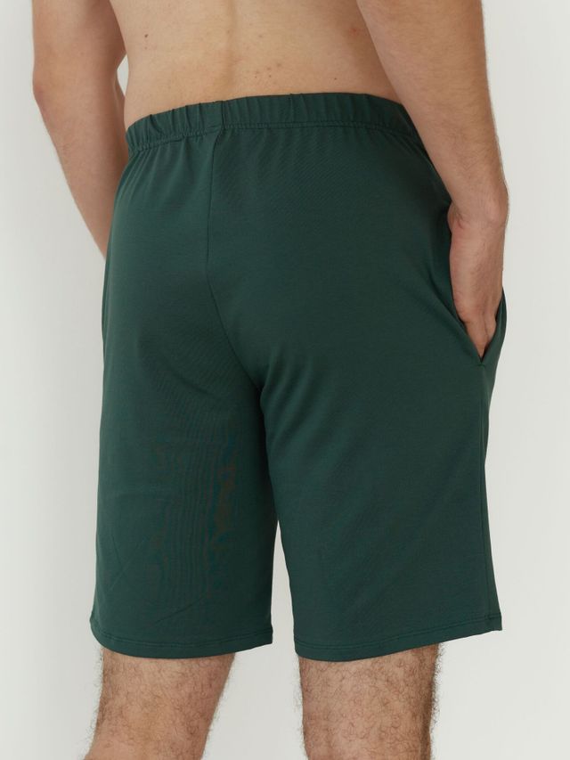 Шорты Мужские Пихта