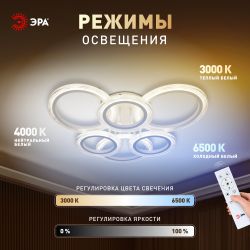 Светильник потолочный светодиодный ЭРА Модерн Ring CLL-1-90W 3K-6,5K RC WH с ДУ белый