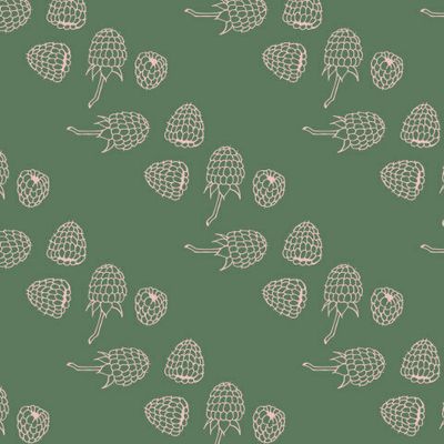 уютная малина на зелёном фоне