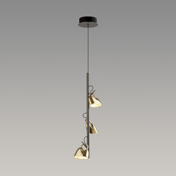 Подвесной светильник Odeon Light 5002/13L