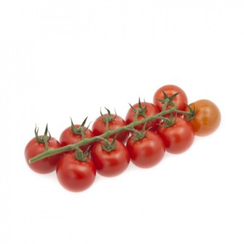 Бриозо F1 семена томата индетерминантного (Rijk Zwaan / Райк Цваан)