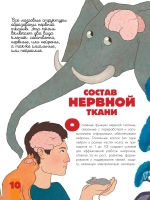 Мозг и нервная система