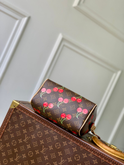 Louis Vuitton Speedy 20