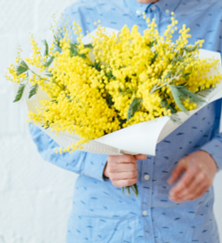 Мимоза сингл