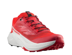 Кроссовки для бега мужские Salomon Pulsar M Красно-Ванильные