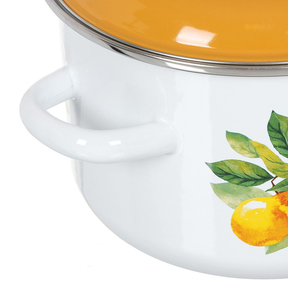 Кастрюля сталь, эмал, 2 л, с крыш, крышка сталь, СтальЭмаль, Грушевый сад, 6RD161M, белоснежная