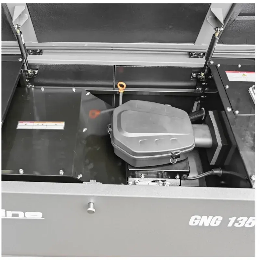 EVOline GNG 13500 E газовый генератор