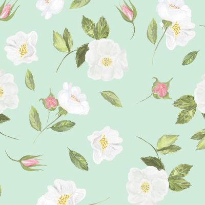 Белый шиповник