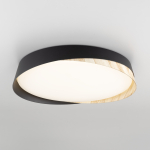 Потолочный светодиодный светильник Citilux BONNY CL754351G