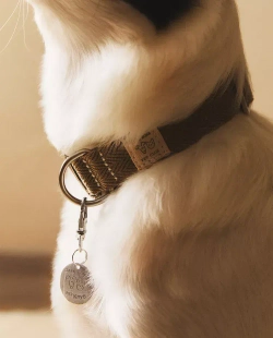 ZARA HOME КРАСОЧНЫЙ ОШЕЙНИК ДЛЯ ДОМАШНИХ ЖИВОТНЫХ