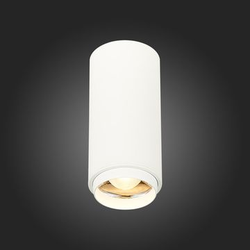 ST600.532.10 Светильник потолочный Zoom Белый LED 1*10W 3000K 1 000Lm Ra&gt;80 15-60° IP20 D59xH130 170 Накладные светильники
