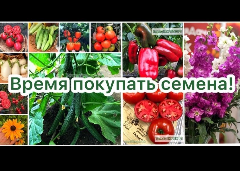 Что не нашли напишите мы привезем.