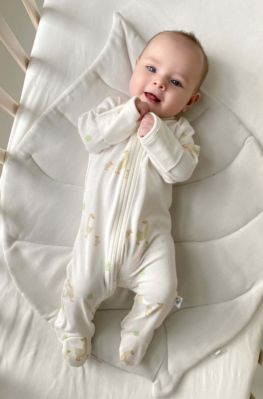 Слип хлопковый на молнии гуси