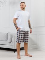 Шорты мужские Тор-2.1 Виотекс КЛЕТКА РАЗНОЦВЕТНАЯ