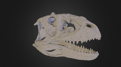 3D Сканер Shining 3D EinScan-Pro