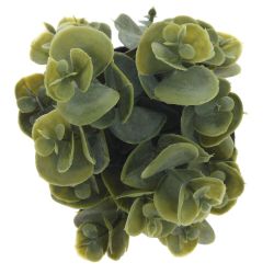 GAEM Цветочная композиция, L8 W8 H14 см, 3в.