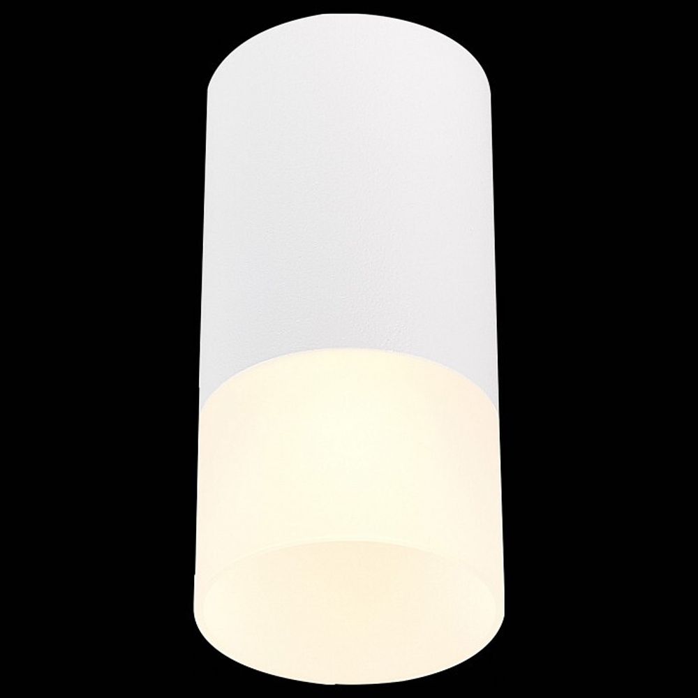 Накладной светильник ST-Luce ST100 ST100.512.01