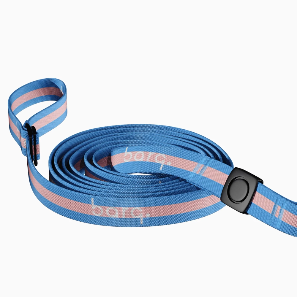 Поводок Stripes