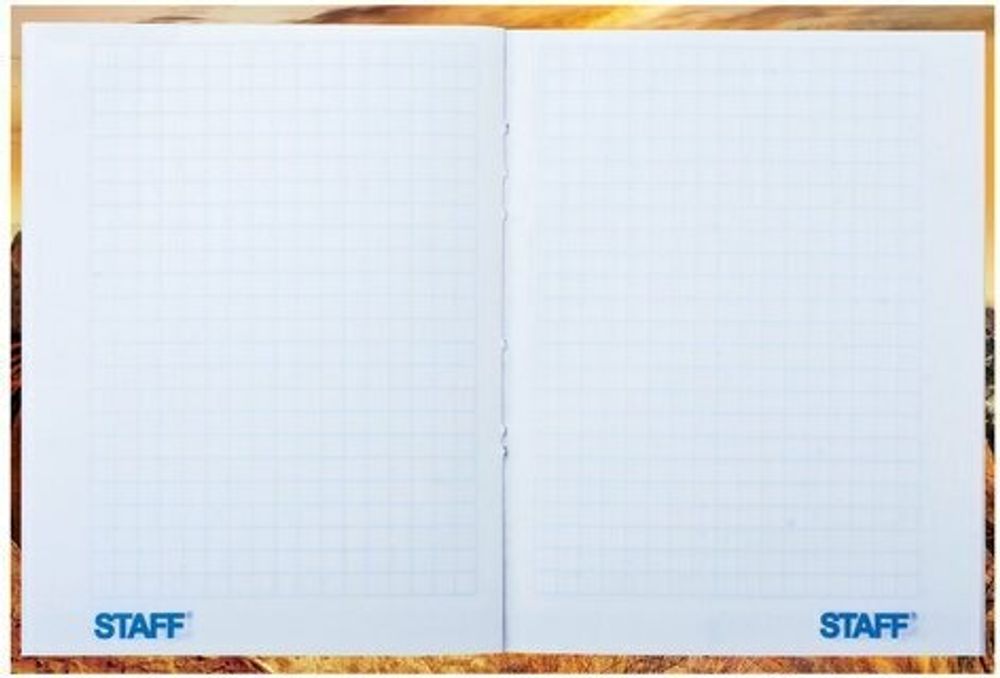 Блокнот МАЛЫЙ ФОРМАТ (110х147 мм) А6, 80 л., твердый переплет, ламинированная обложка, клетка, STAFF, "Тигровый", 120949