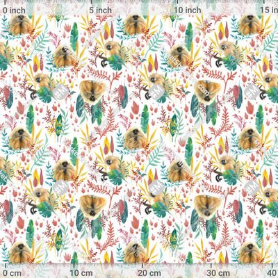 Обезьяны и тропические листья на белом by Darivin_art 385 DPI