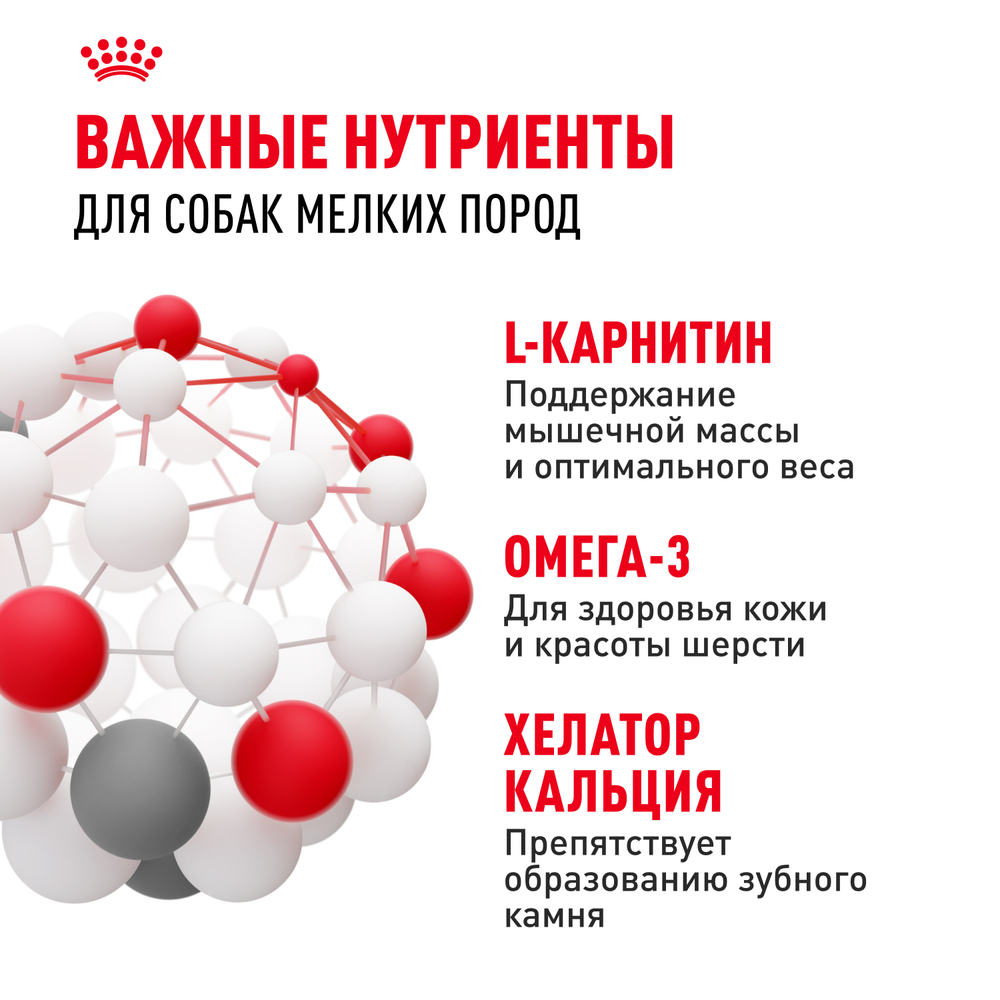 Royal Canin Mini Adult Корм сухой для взрослых собак мелких размеров от 10 месяцев - 0,8 кг