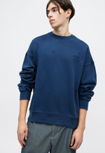 Carhartt WIP BENTON - Толстовка - Синий