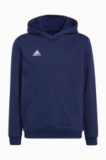 Кофта adidas Entrada 22 Hoodie Junior
