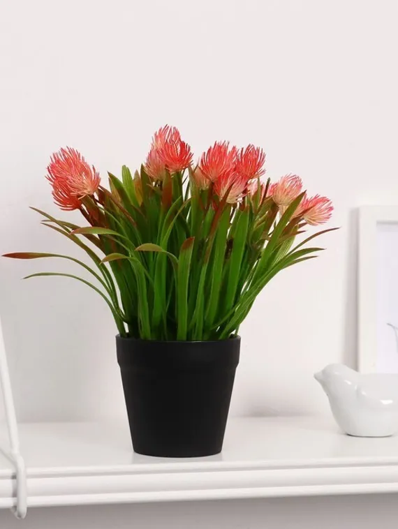 Бонсай в горшке &quot;Эхмея с травой&quot; 9*19 см, микс