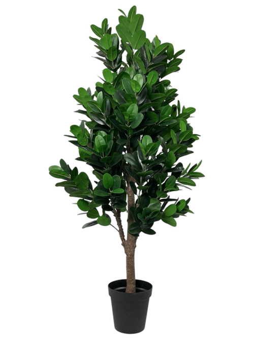 Фикус эластика зеленый 180 см.