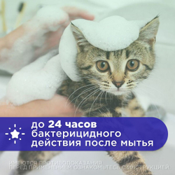 OKVET шампунь лечебный с хлоргексидином 5%, 250 мл