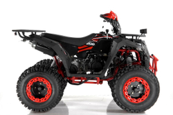 Квадроцикл WELS ATV Thunder 200 Evo X