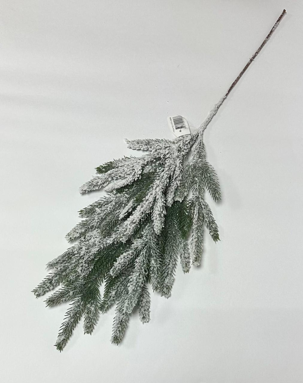 Ветка елка снежная