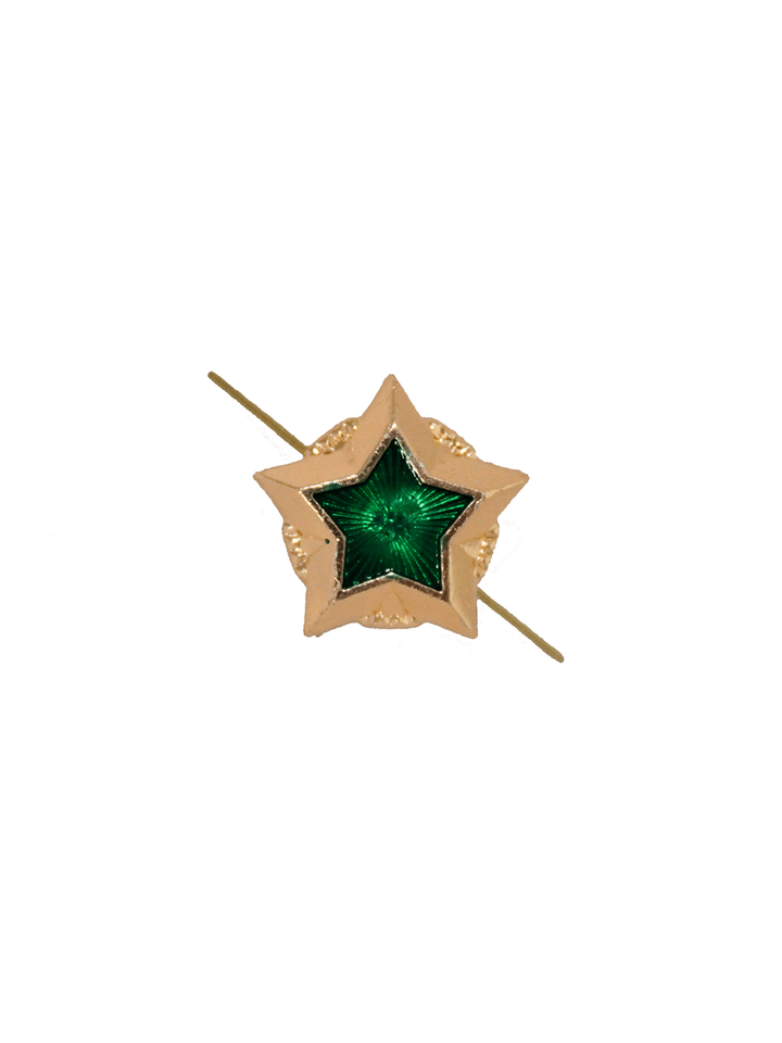 Звезда ФССП большая металл