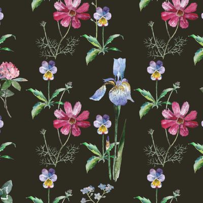 Космеи и фиалки