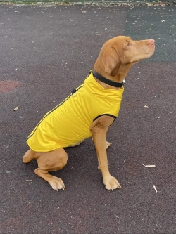 Зимний жилет для собак куртка