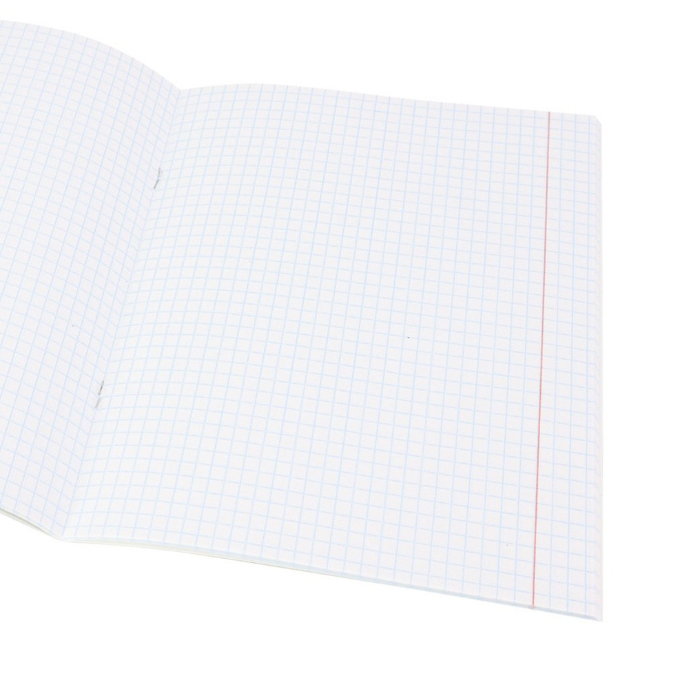 Тетрадь предметная 48л., А5, клетка, Проф-Пресс "Физика. Графема" , скрепка, мелованный картон, выб. лак, твин-лак, офсет