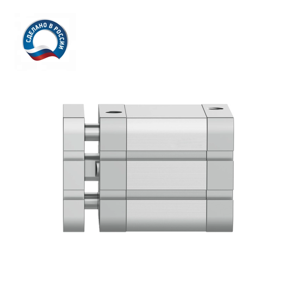 ADNGF-63-100-P-A Пневмоцилиндр