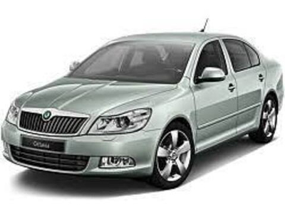 Skoda Octavia 2 (1Z3) 2.0 TDI 16V