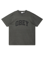 Мужская Футболка Collegiate Pigment