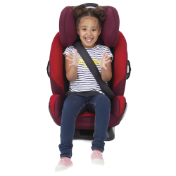 Детское автокресло Joie Every Stage R