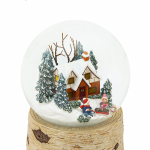 Снежные каникулы