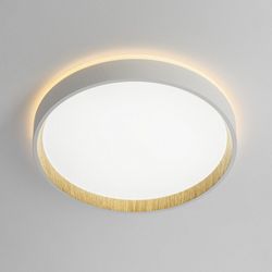 Накладной светильник Citilux Etalon CL750240