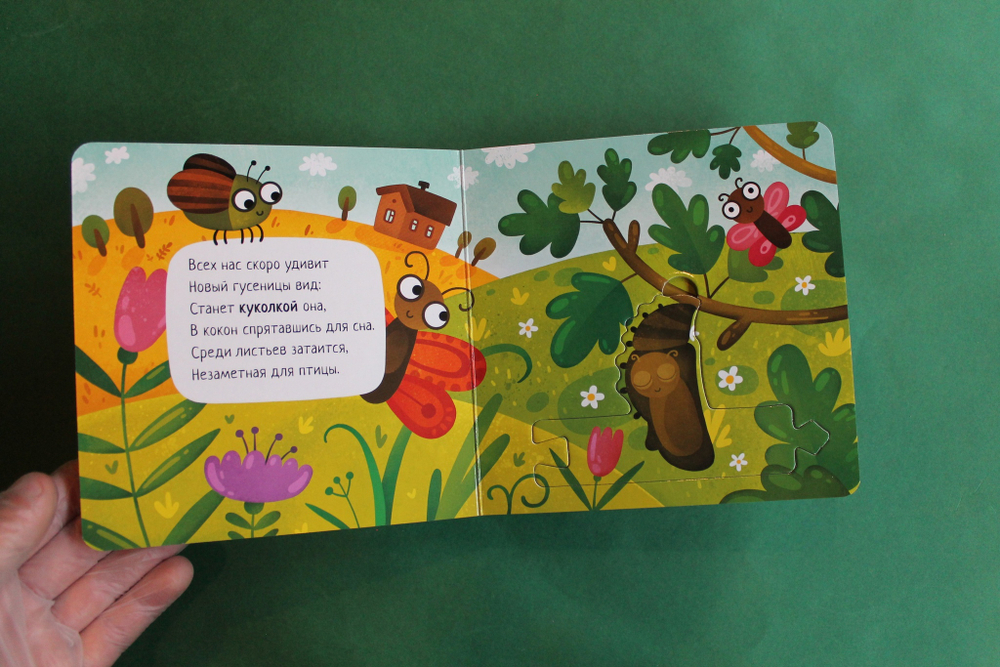 Собери цепочку. Как растет бабочка