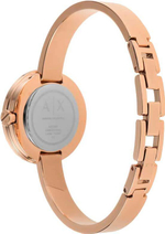 Женские наручные часы Armani Exchange AX5905
