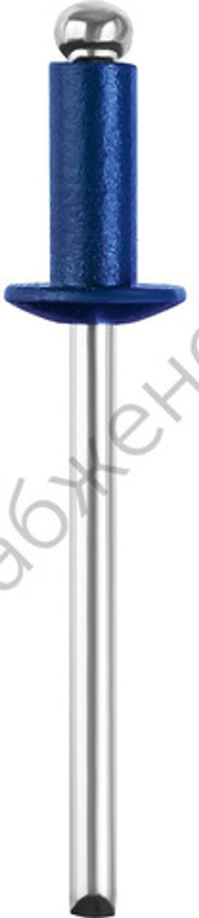 STAYER Color-FIX 3.2 х 8 мм, синий насыщенный, алюминиевые заклепки, 50 шт, Professional (3125-32-5005)