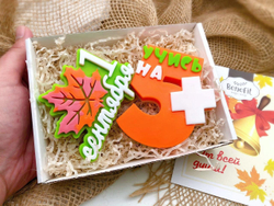 «Учись на отлично!» подарочный набор