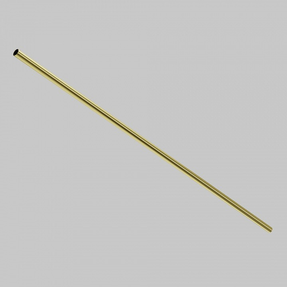 Штанги Maytoni Accessories for system Axity CA001-L1000-BS